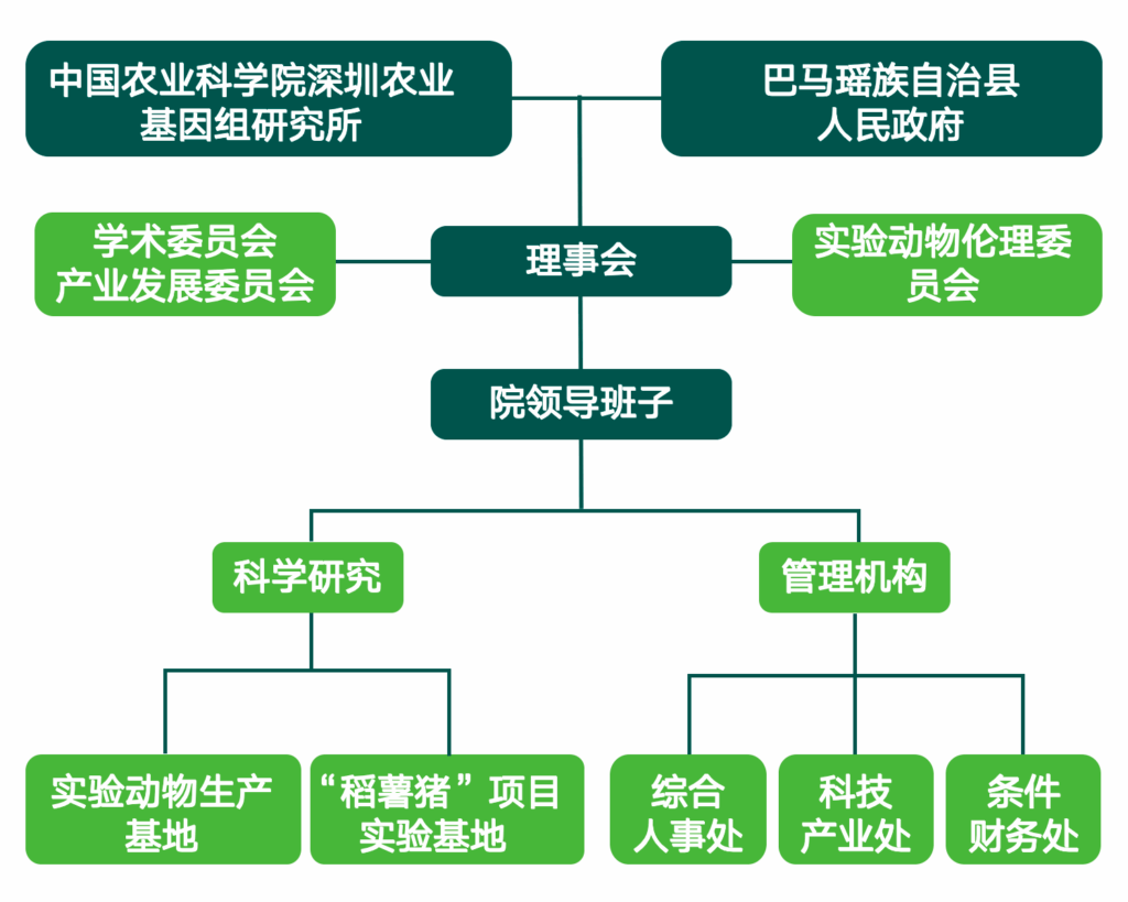 组织架构