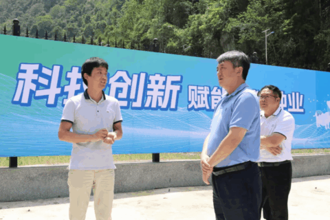河池市市长王军调研巴马香猪保种繁育示范基地