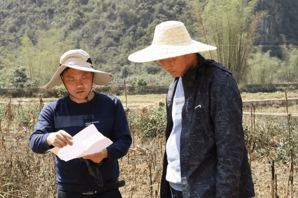 聚焦巴马火麻 打造生态产业