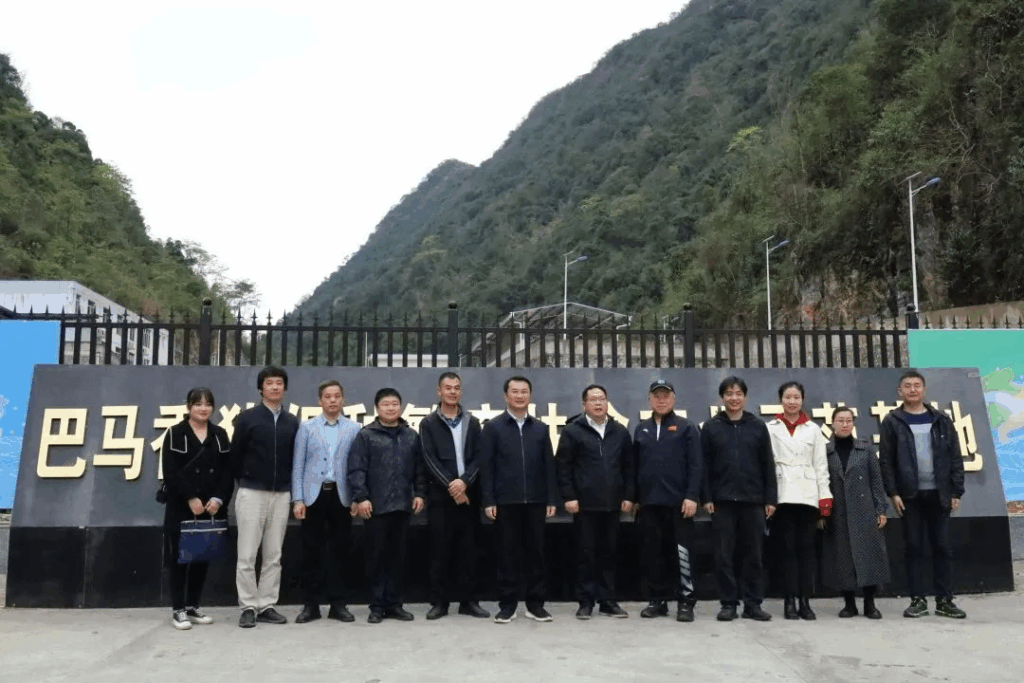 河池市科学技术局、中国农业科学院深圳基因组研究所调研巴马乡村振兴研究院
