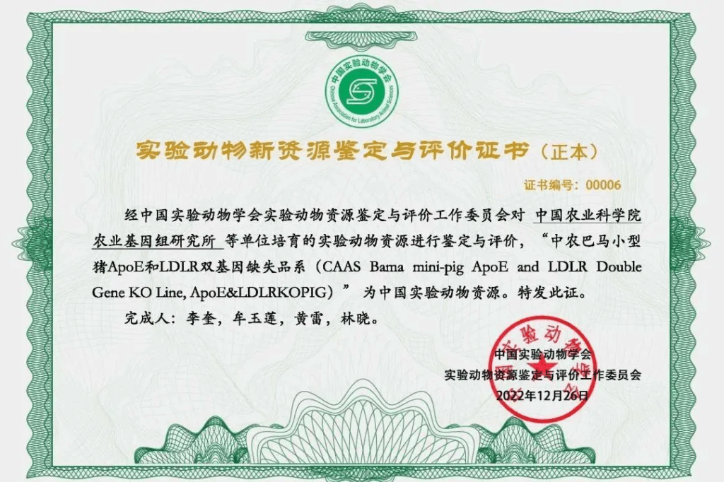 中国农科院基因组所首次成功培育3个基因编辑小型猪并获认证