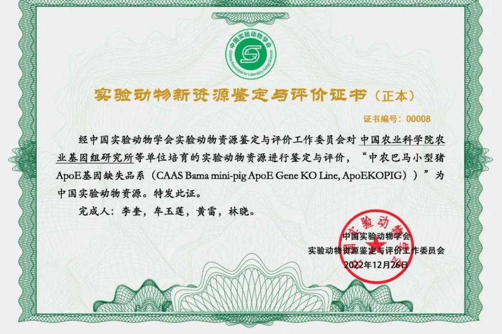 中国农科院基因组所首次成功培育3个基因编辑小型猪并获认证