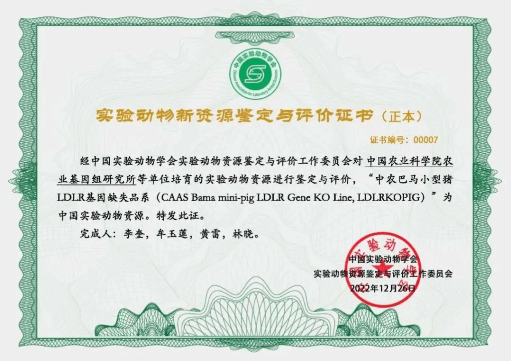 中国农科院基因组所首次成功培育3个基因编辑小型猪并获认证