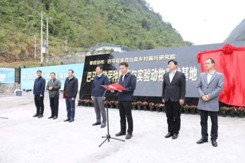 巴马乡村振兴研究院圆满举办第一届理事会第一次会议暨巴马香猪基地揭牌仪式