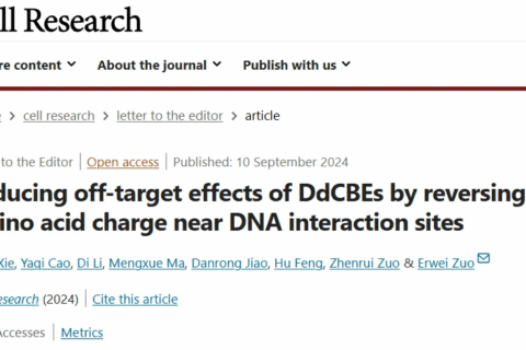 Cell Research | 基因组所左二伟团队研发新型线粒体编辑技术，破解线粒体碱基编辑脱靶难题