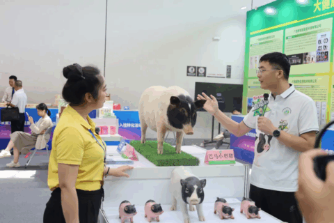 巴马乡村振兴研究院参加2025年全国科技活动周广西活动