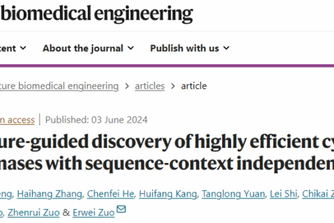 《自然—生物医学工程》：左二伟团队利用蛋白结构预测和相似性聚类开发高效、无序列偏好性的胞嘧啶碱基编辑器