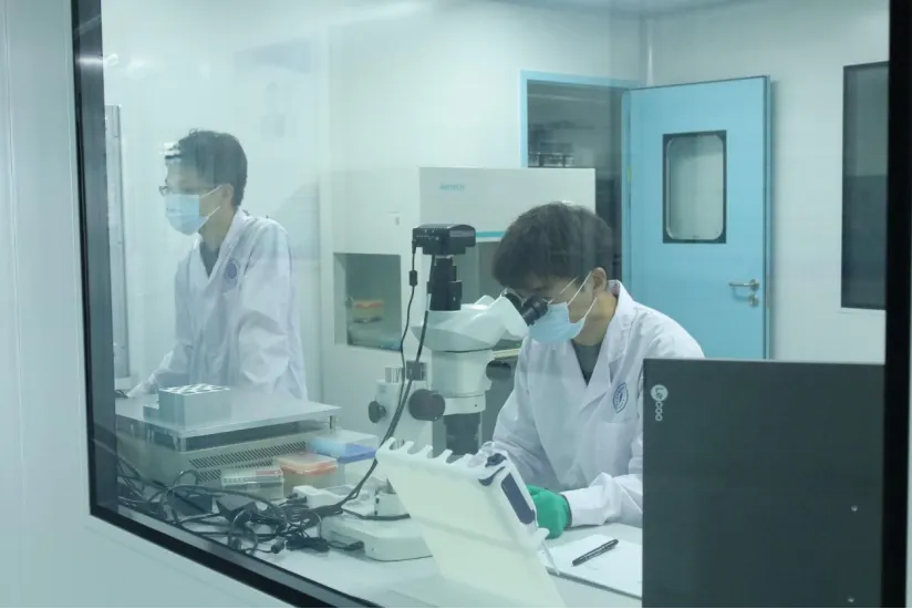 巴马：科技赋能助推乡村振兴