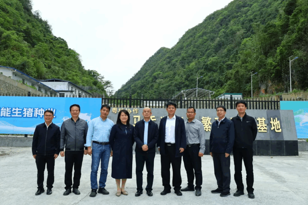 中国农业科学院深圳农业基因组研究所副所长佟继旭到河池、巴马调研