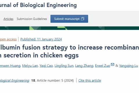 新突破！基因组所左二伟团队研发出高效家禽基因敲入技术