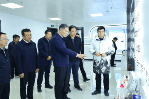 自治区党委主题教育第十二督导组与市人大常委会调研巴马乡村振兴研究院
