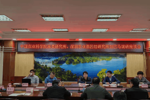 中国农科院基因组所、中国农科院麻类所到巴马开展火麻专题调研