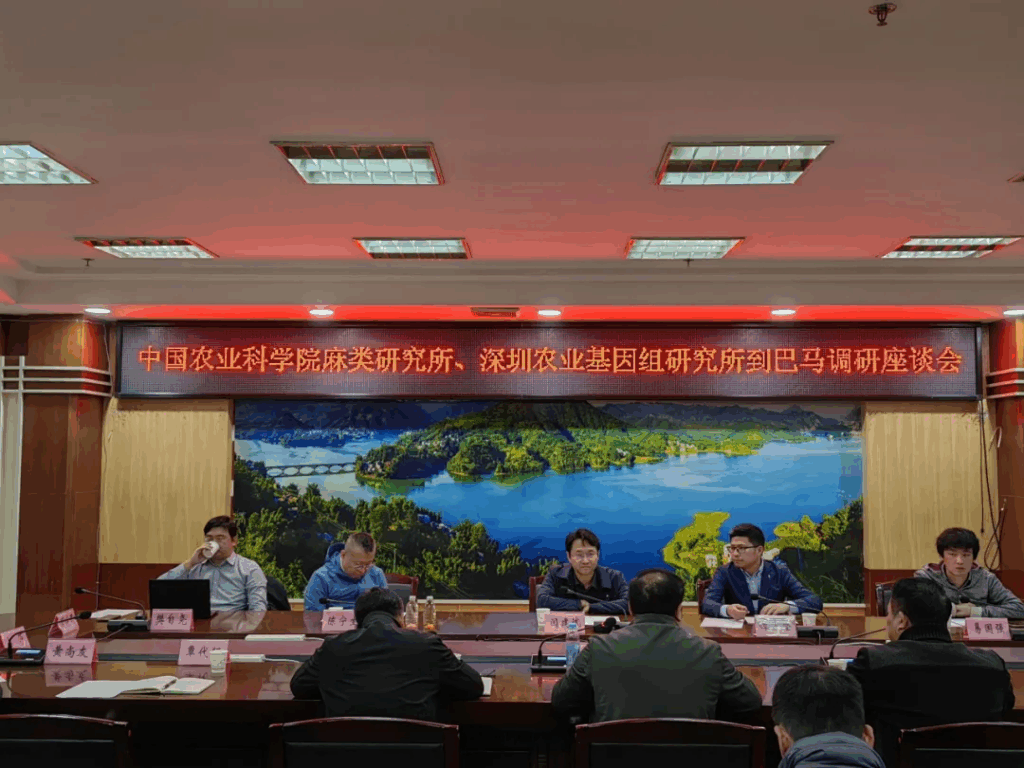 中国农科院基因组所、中国农科院麻类所到巴马开展火麻专题调研