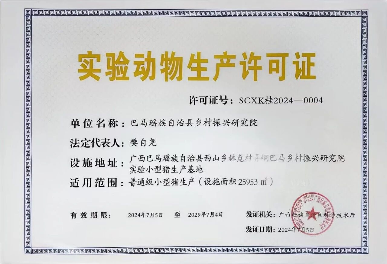 巴马香猪:异种器官移植领域的“潜力之星” 助力解决全球器官短缺难题